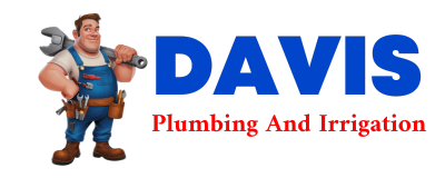 Trusted plumber in CARNESVILLE